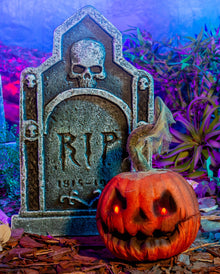 Lachender Halloween Kürbis mit Bewegung & Licht 23cm