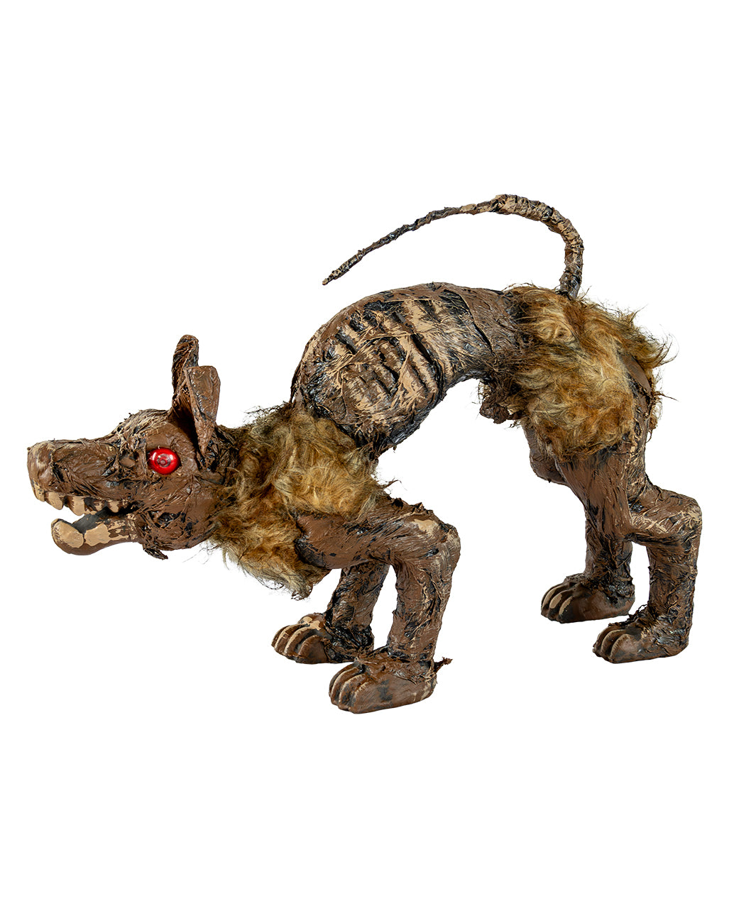 Mummified Dog Carcass From The Moor 51cm