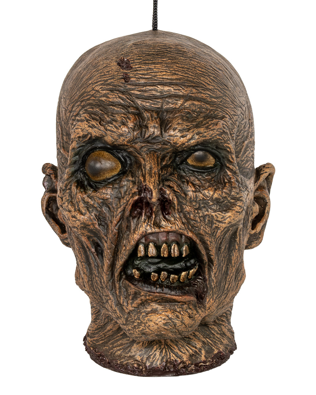 Mumifizierter Menschenkopf 23cm