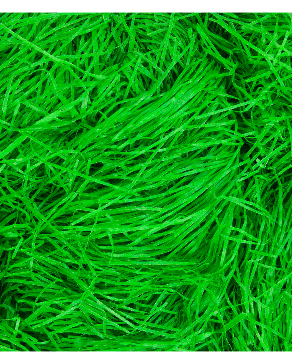Grünes Ostergras 50 g