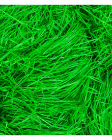 Grünes Ostergras 50 g