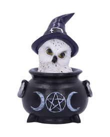 Owl's Brew Hexeneule Dekofigur 10cm
