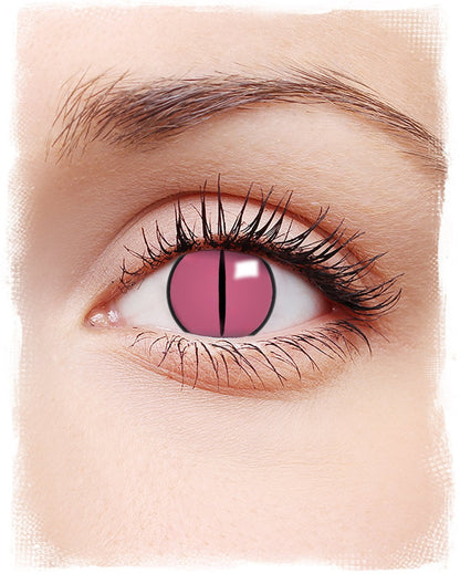 Pink Kitten Lenses