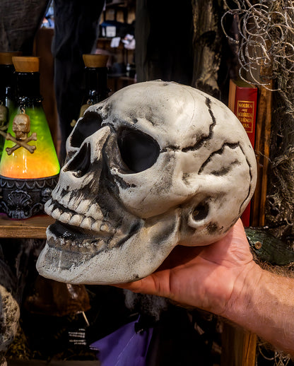 Preiswerter Halloween Totenkopf 24cm