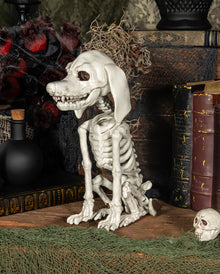 Pudel Hundeskelett als Halloween Deko 25cm