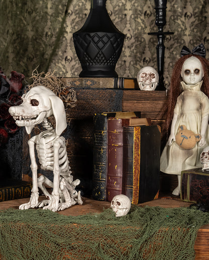 Pudel Hundeskelett als Halloween Deko 25cm