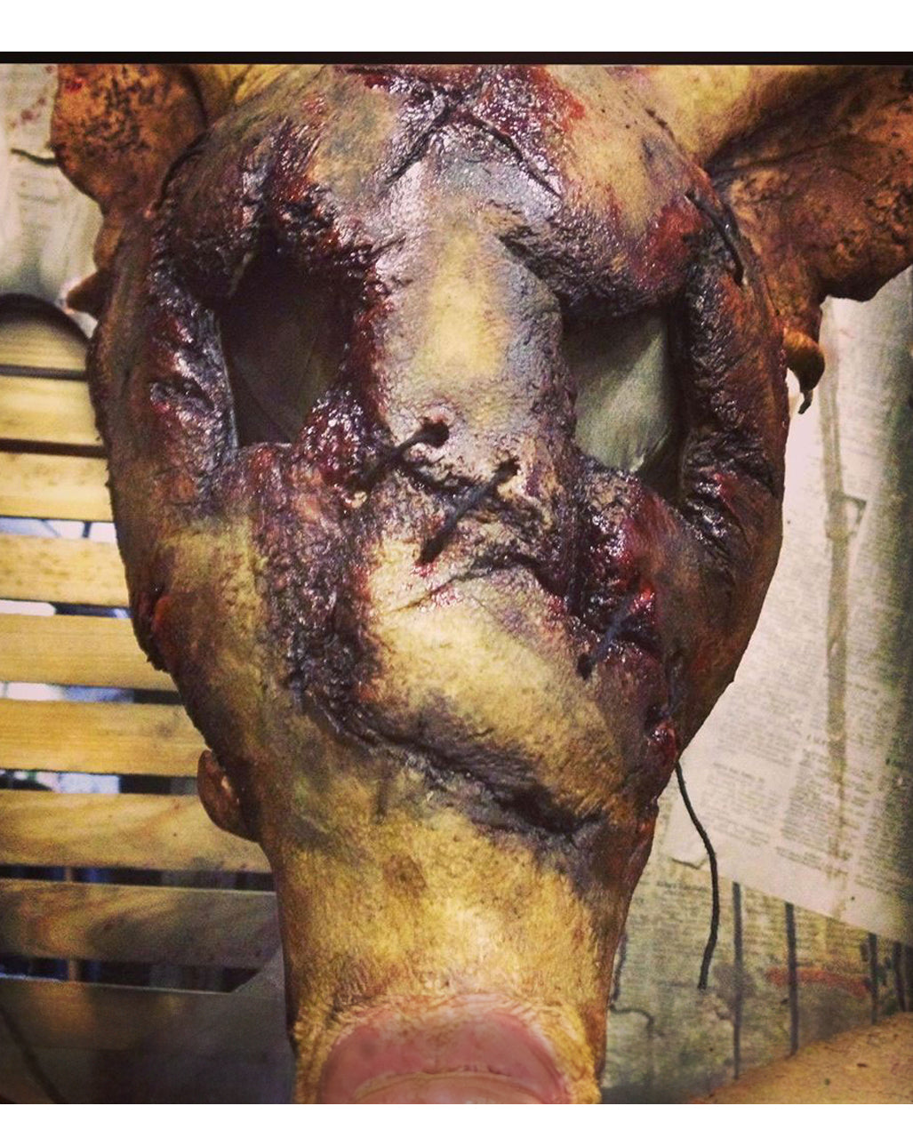 Verfaulte Schweinekopf Maske