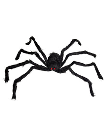 Riesen Spinnennetz mit ekliger Spinne