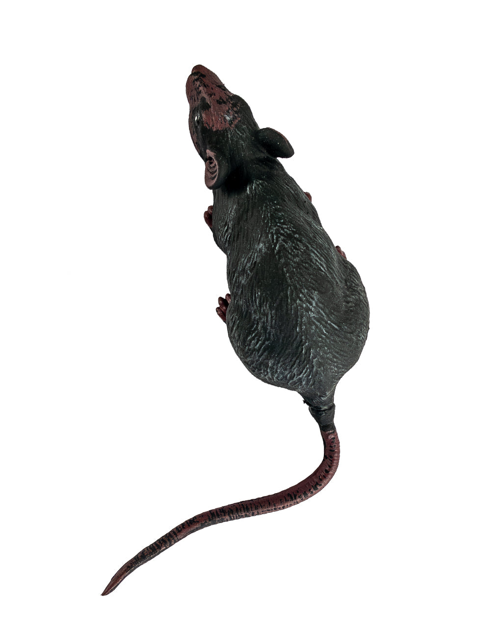 Rat D'égout Géant 31cm