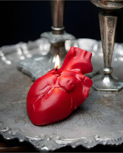 Rote Anatomische Herz Kerze