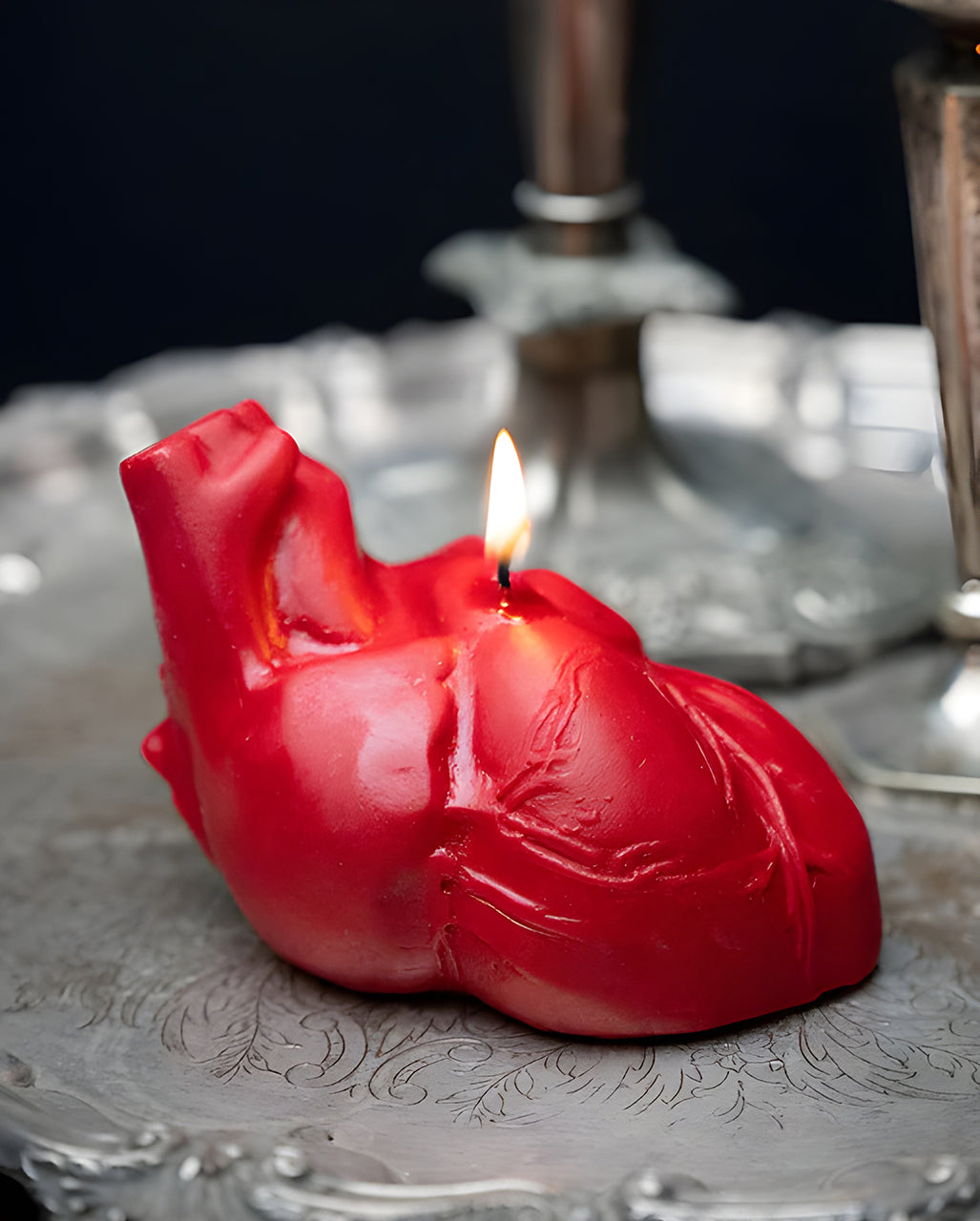 Rote Anatomische Herz Kerze