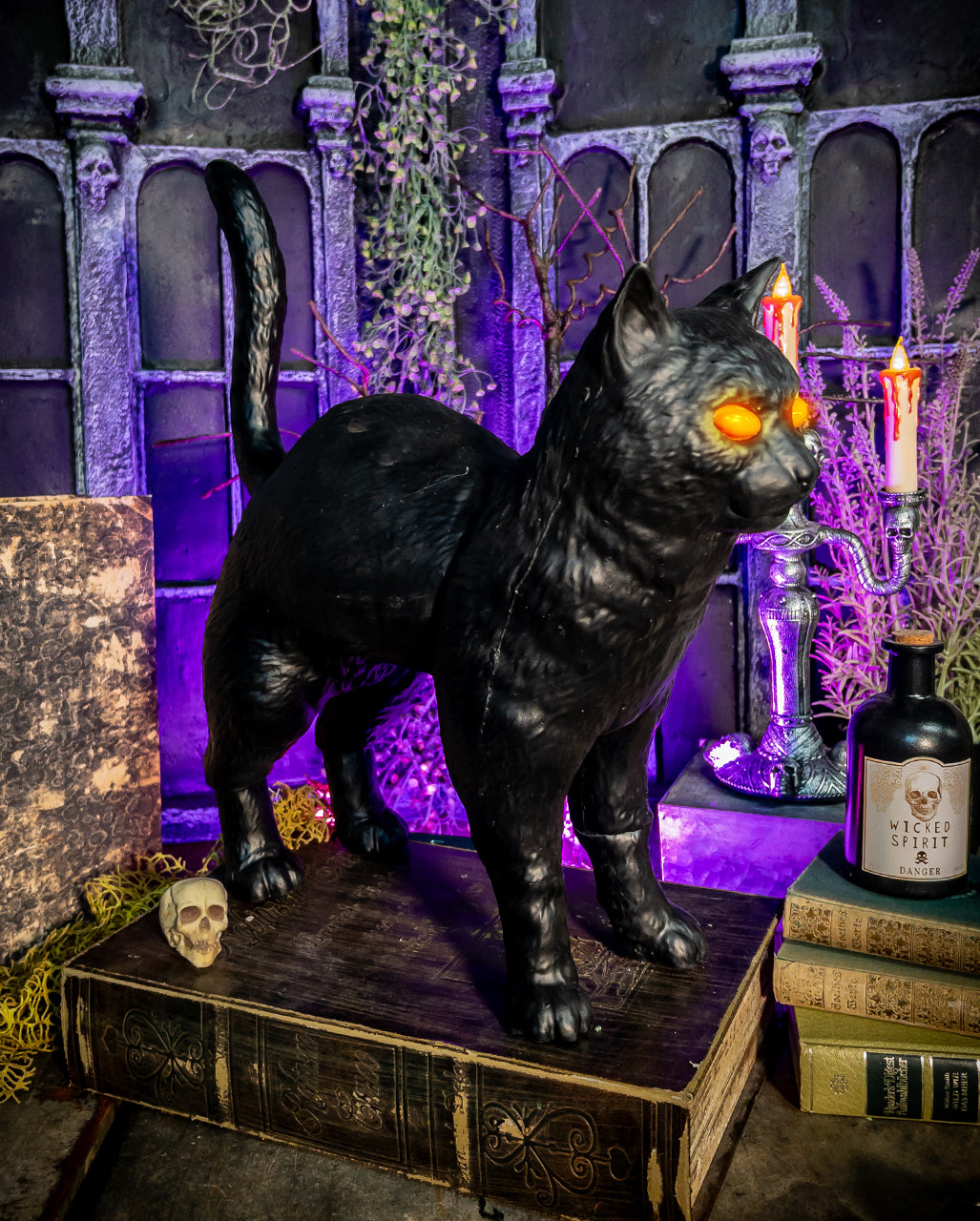 Rufus Heks Kat Met Oplichtende Ogen 39cm