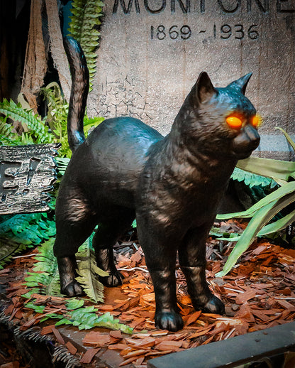 Rufus Heks Kat Met Oplichtende Ogen 39cm