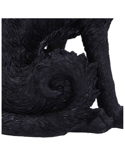 Salem Magierkatze 16,6cm