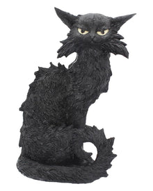 Salem Magierkatze 32,5cm