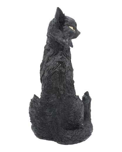 Salem Magierkatze 32,5cm