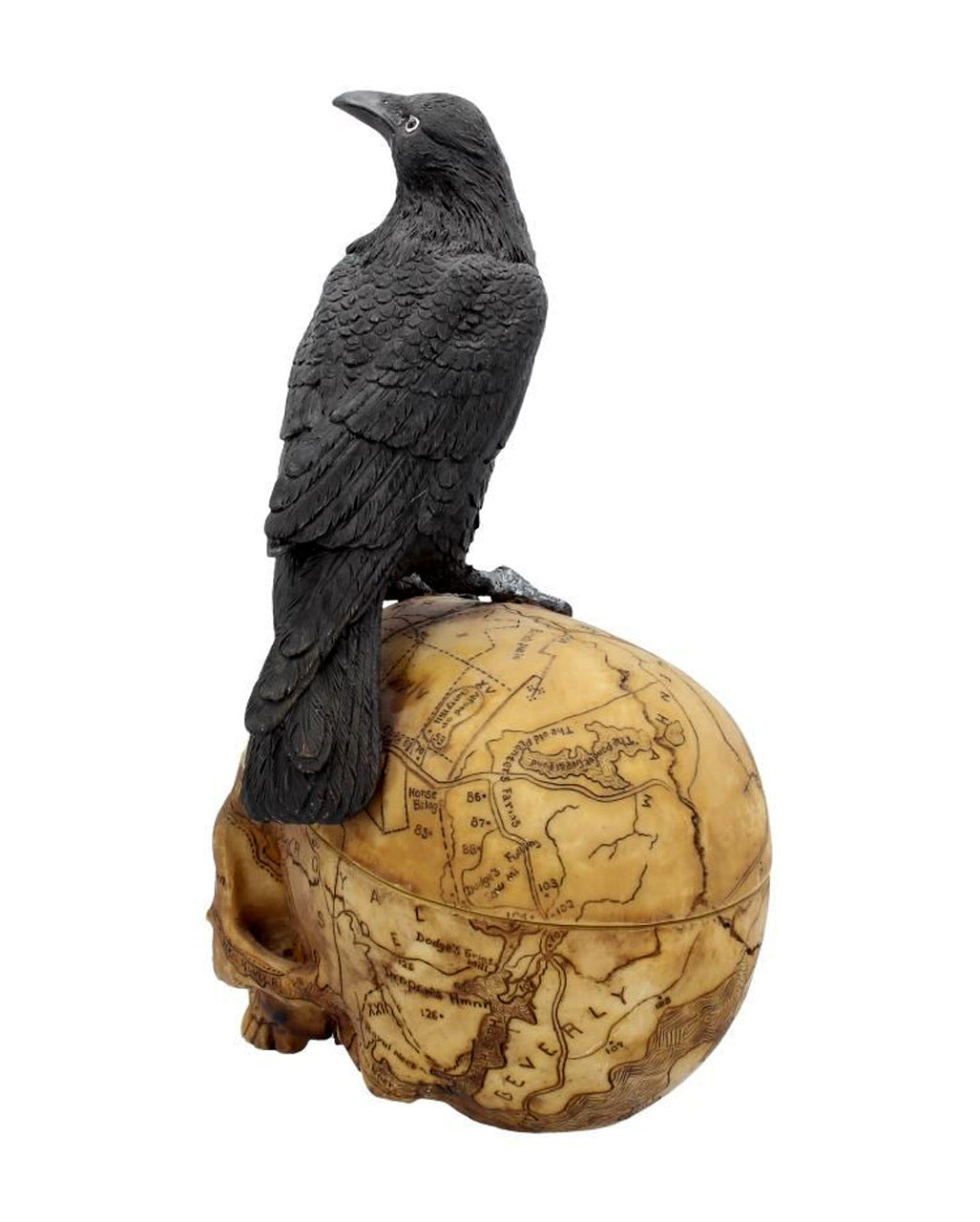 Salem Totenkopf mit Rabe