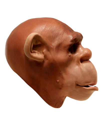 Affenmaske aus Schaumlatex