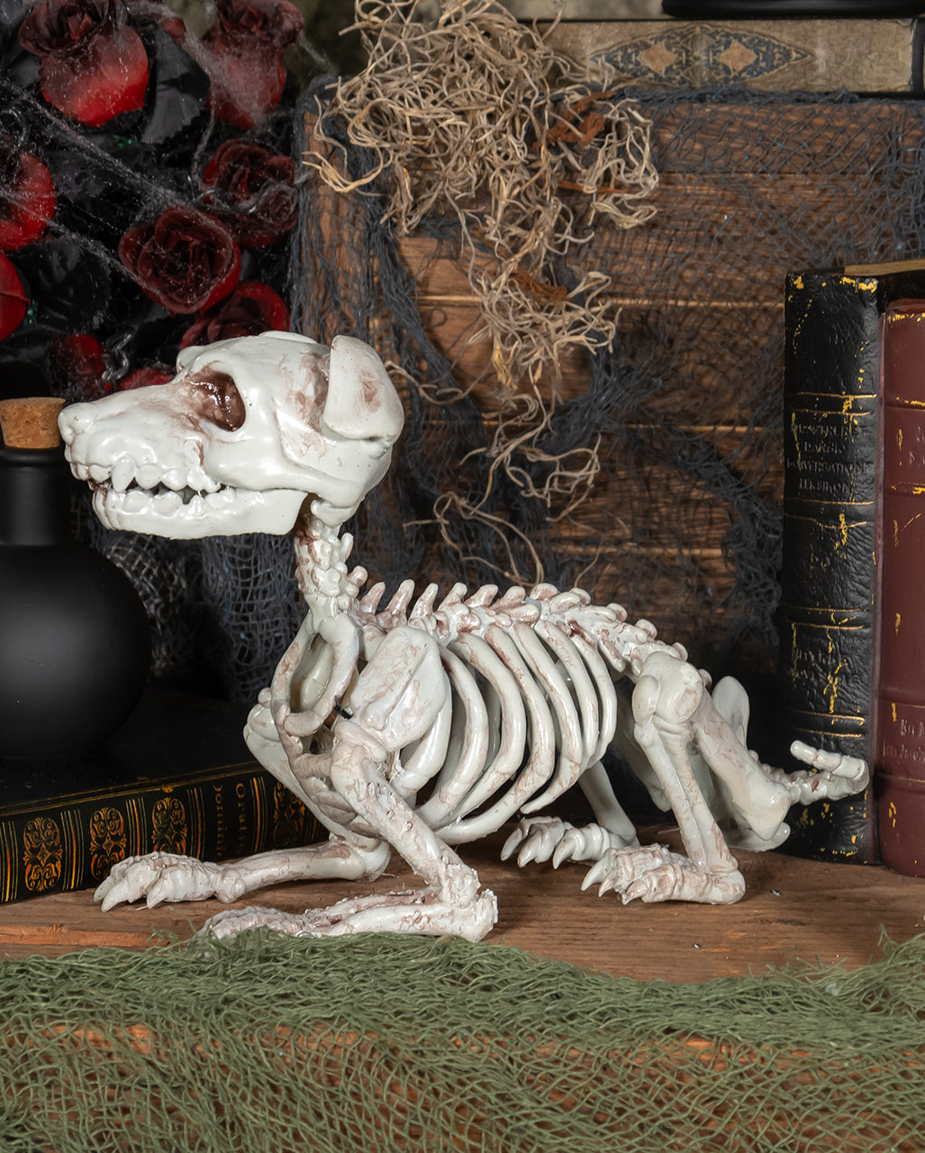 Schnauzer Hundeskelett als Halloween Deko 27cm