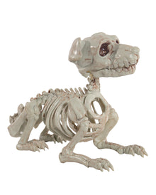 Schnauzer Hundeskelett als Halloween Deko 27cm