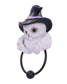 Schneeeule mit Zauberhut Türklopfer 21cm
