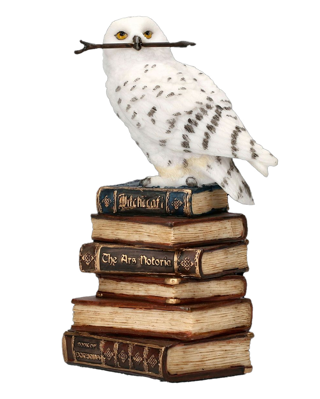 Snowy Owl Sitting On Magic Books 14cm