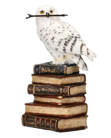 Schneeeule auf Zauberbücher sitzend 14cm