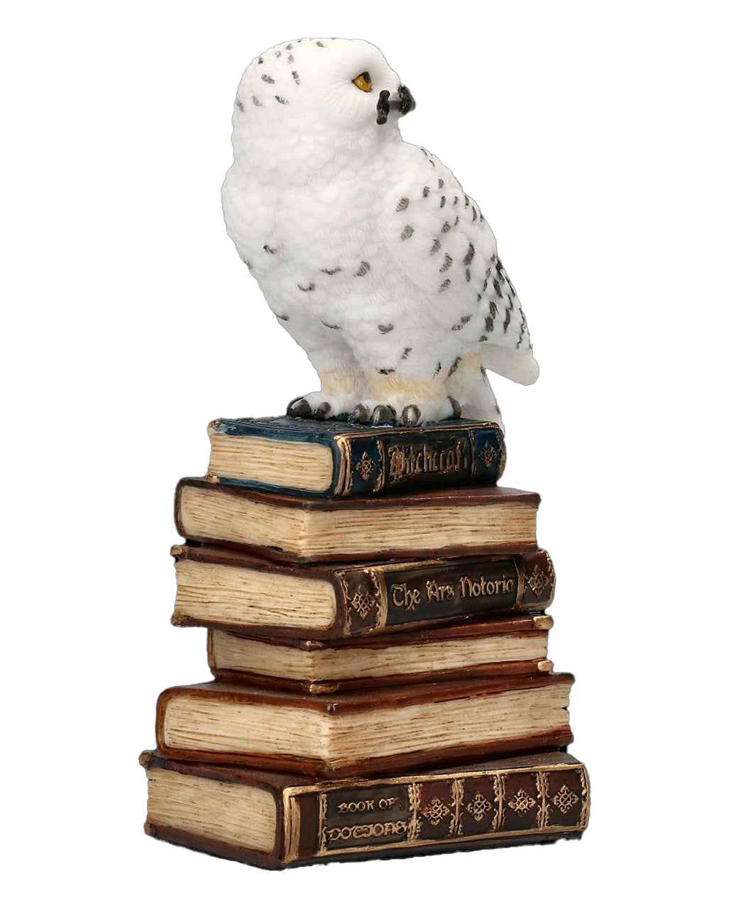 Snowy Owl Sitting On Magic Books 14cm