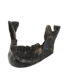 Black Lower Jaw As Business Card Holder