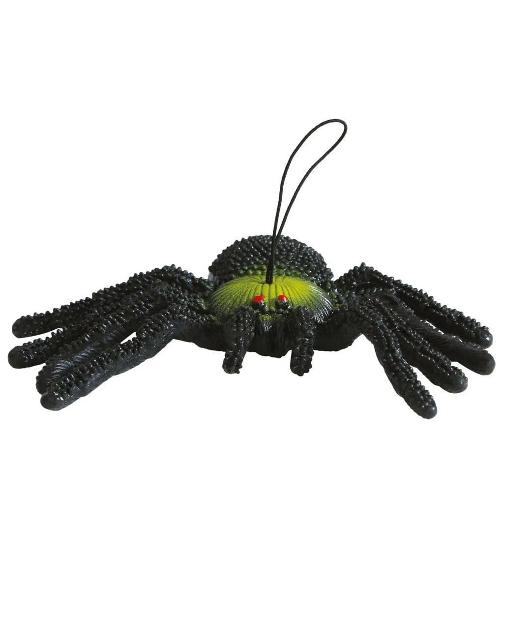 Schwarz-Grüne Gummispinne 14cm