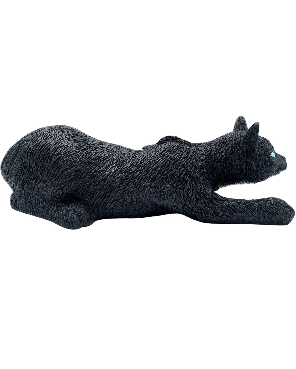 gatto nero
