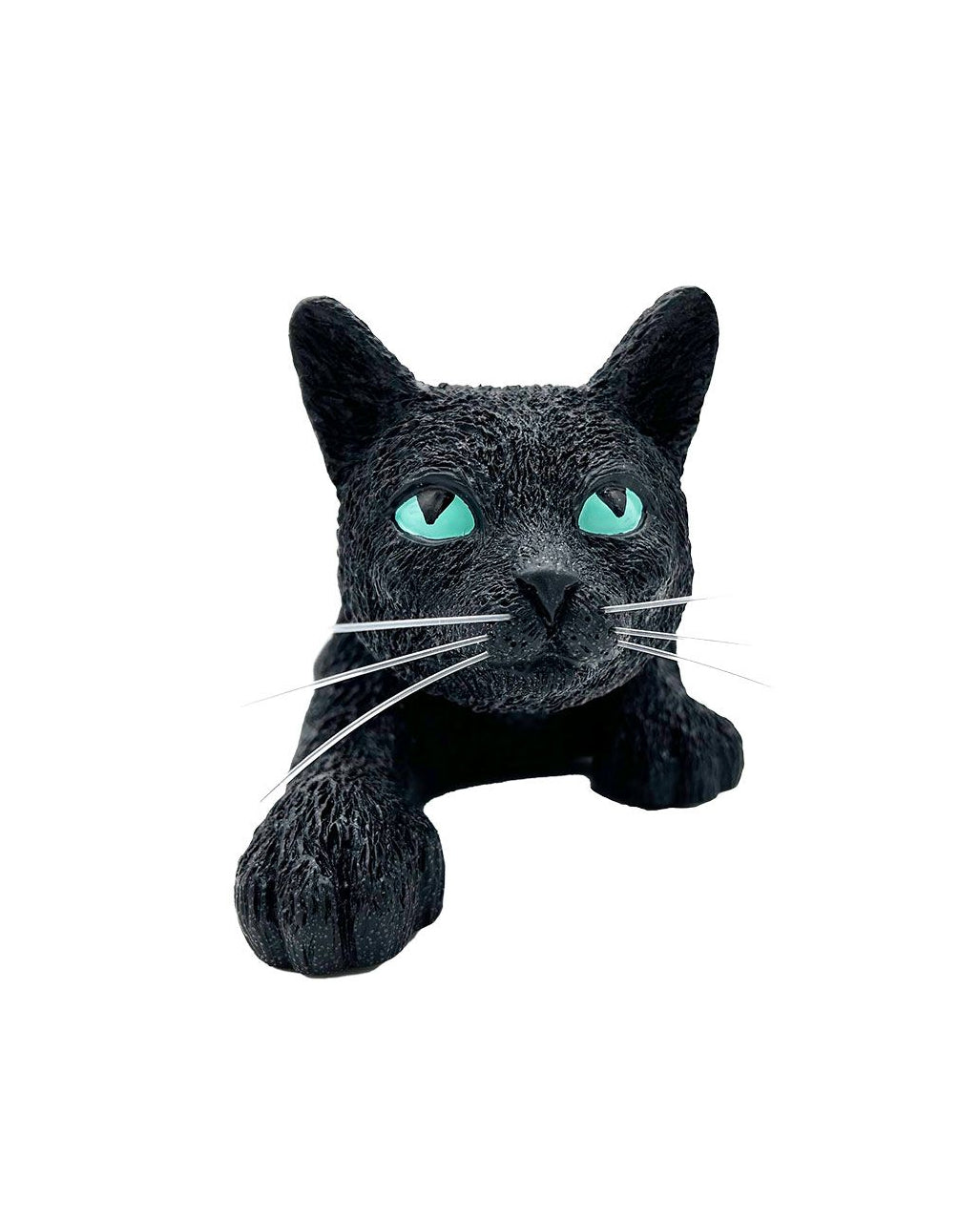 gatto nero