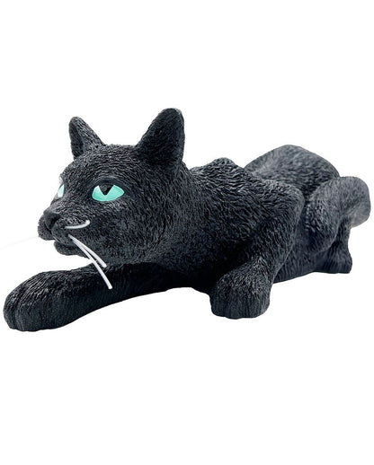 gatto nero