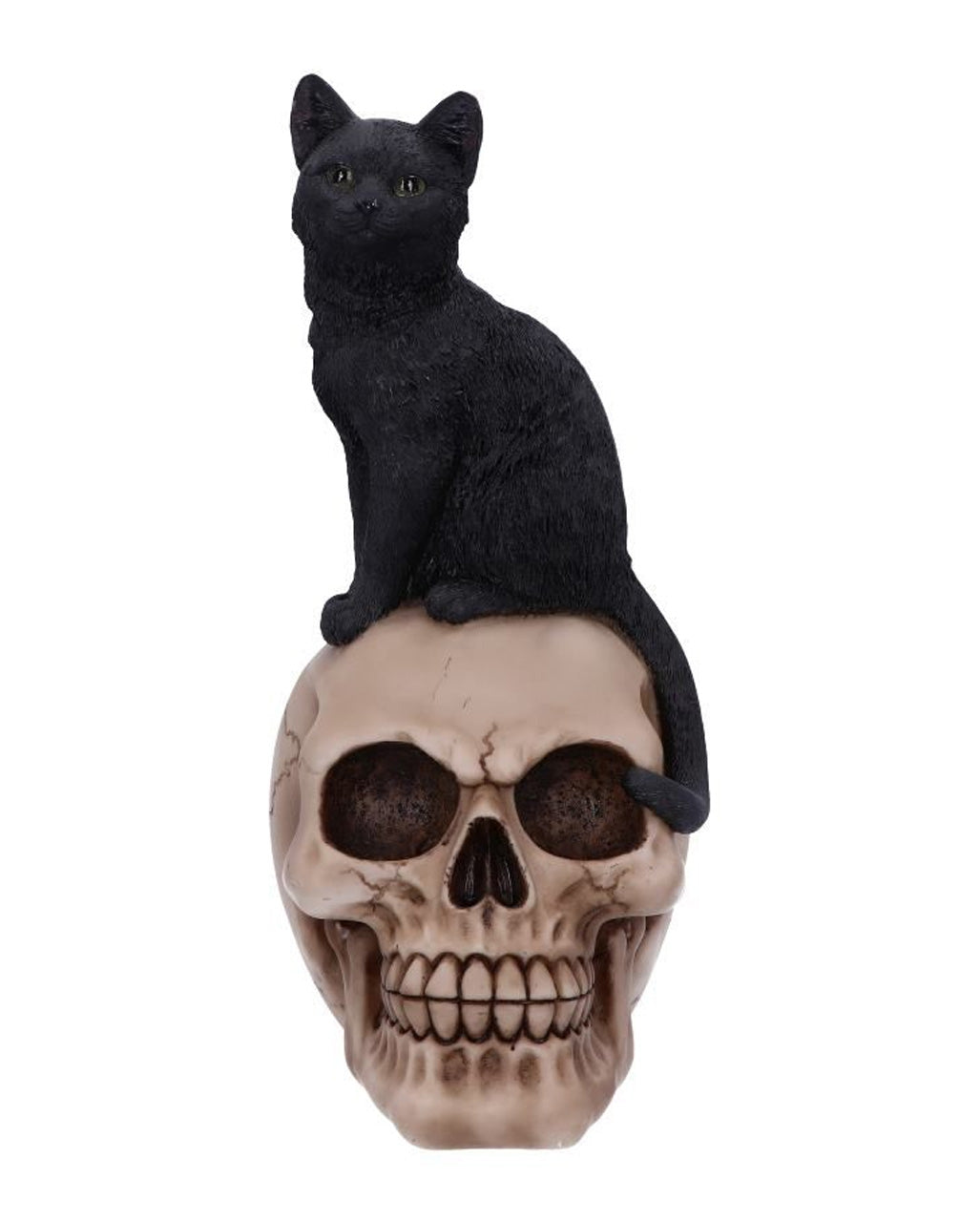Schwarze Katze auf Totenschädel 24,3cm