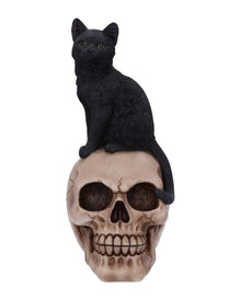 Schwarze Katze auf Totenschädel 24,3cm