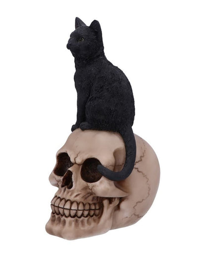 Schwarze Katze auf Totenschädel 24,3cm