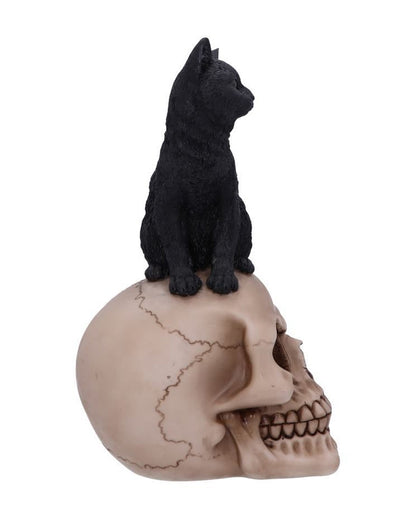 Schwarze Katze auf Totenschädel 24,3cm