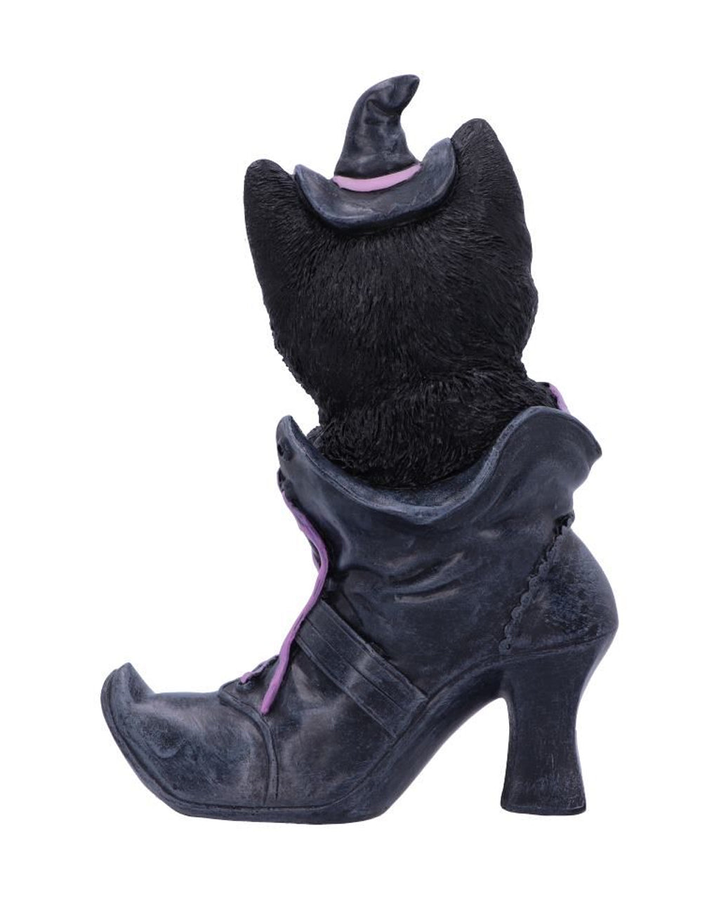 Schwarze Katze im Hexenschuh