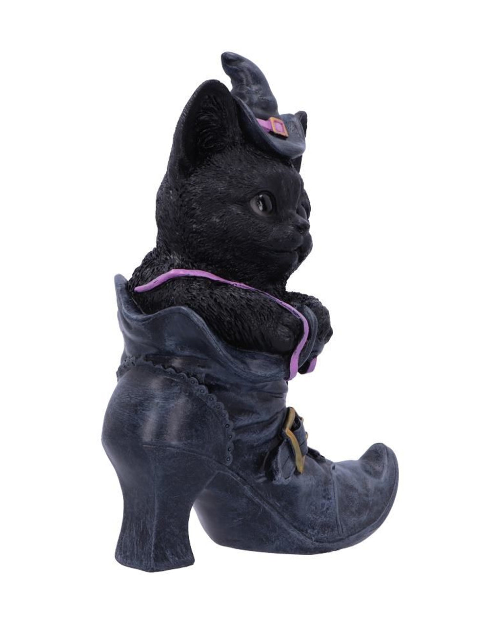 Schwarze Katze im Hexenschuh