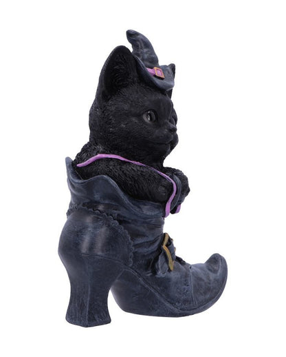 Schwarze Katze im Hexenschuh