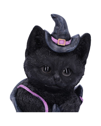 Schwarze Katze im Hexenschuh