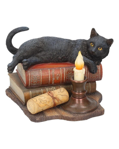 Schwarze Katze mit Hexenbüchern 20,5cm