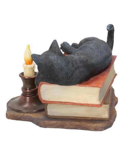 Schwarze Katze mit Hexenbüchern 20,5cm