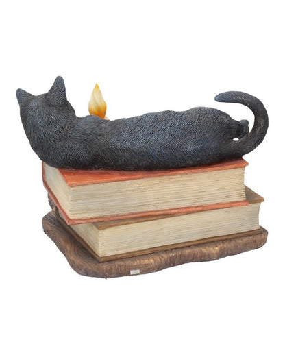 Schwarze Katze mit Hexenbüchern 20,5cm
