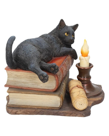Schwarze Katze mit Hexenbüchern 20,5cm