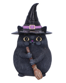 Schwarze Katze mit Besen & Hexenhut