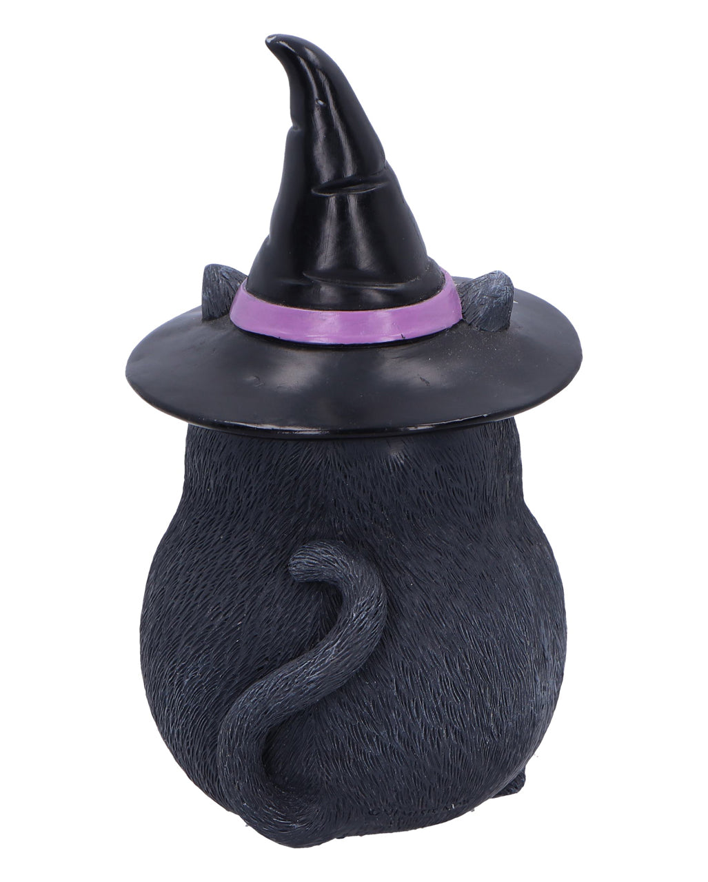 Schwarze Katze mit Besen & Hexenhut