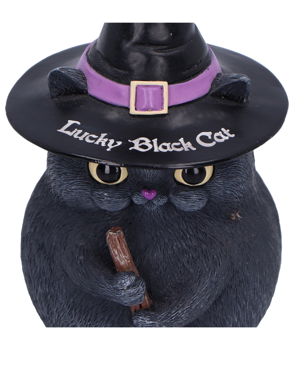 Schwarze Katze mit Besen & Hexenhut