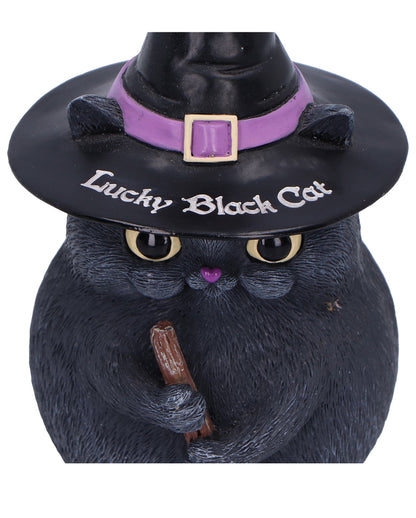 Schwarze Katze mit Besen & Hexenhut