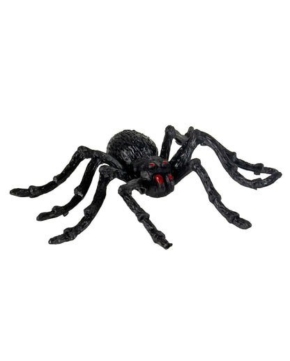 Schwarze Riesen Tarantel 2 St. 14cm